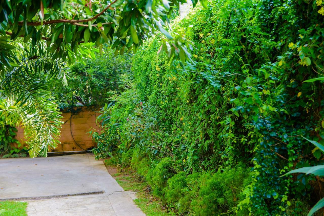 Homestay Garden Rest Канди Екстериор снимка