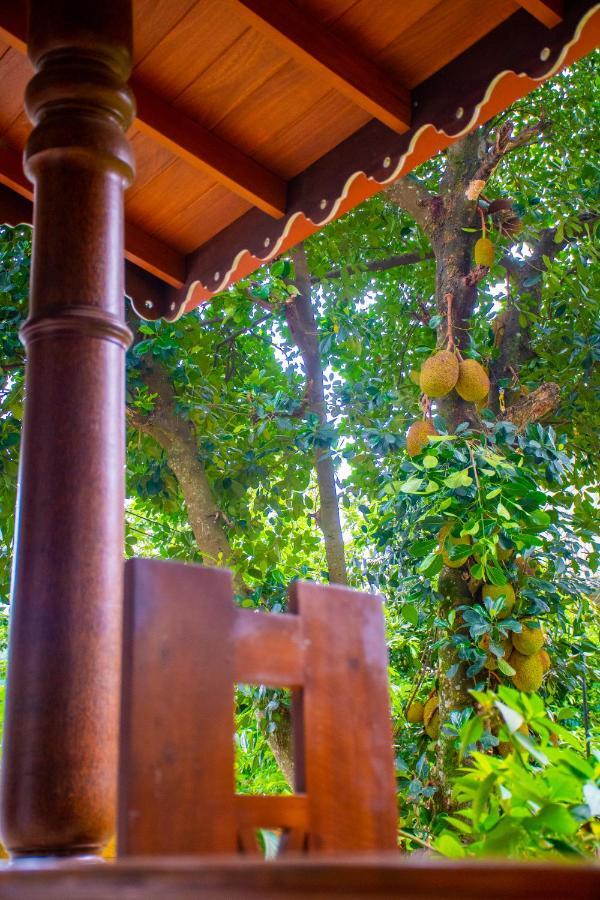 Homestay Garden Rest Канди Екстериор снимка